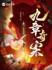九章奇案讲了什么内容