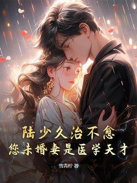 陆少的全部