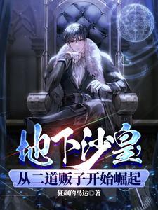 国际通缉条件