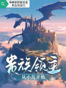 贵族领主从小岛开始境界划分