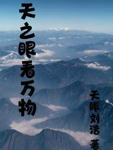 天之眼n16