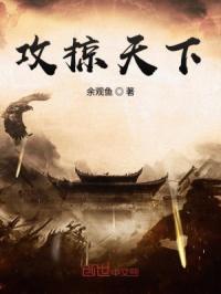 电子书攻掠天下