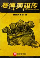 赛博英雄传结局