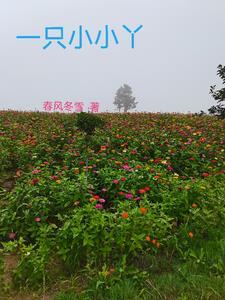 一只小小手舞蹈视频