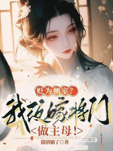 少帅夜夜洗床单