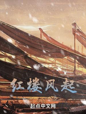 红楼之风雨飘摇全文免费阅读