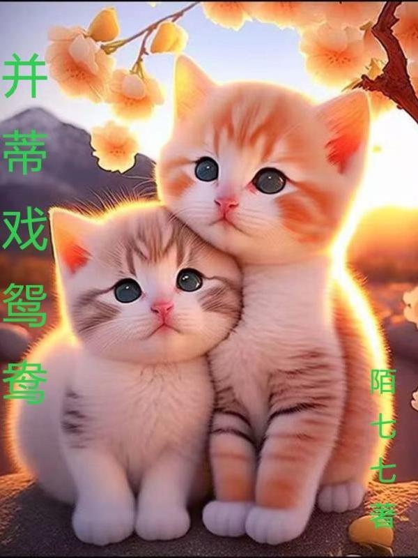 鸳鸯戏水