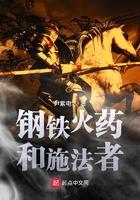 钢铁火药和施法者精校版