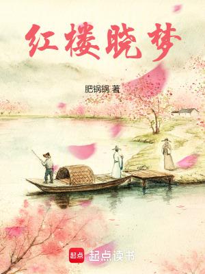 红楼晓梦无防盗
