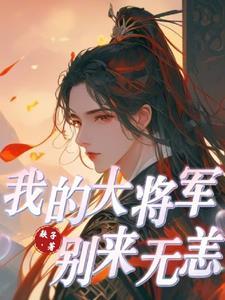 我的将军大人电视