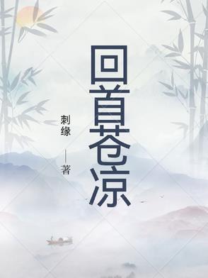 回首苍凉刺缘完整版免费阅读