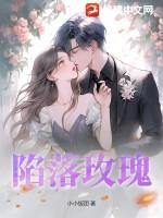 陷落浪漫免费阅读