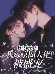 我嫁给了竹马