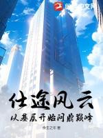 仕途之风云再起免费阅读