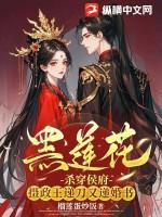 穿书 黑莲花