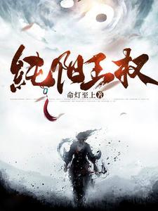 纯阳境界