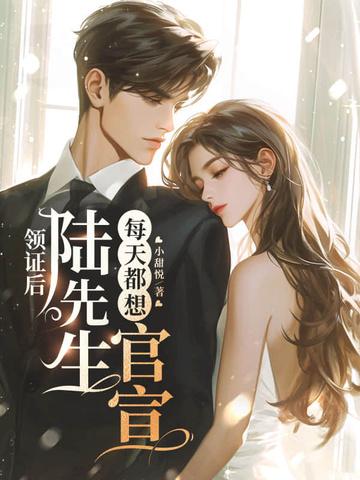 陆先生结婚后天天粘着我
