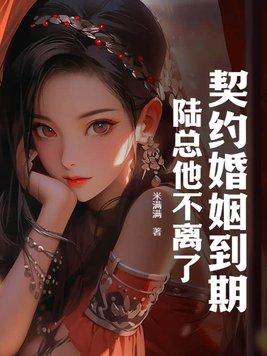 契约婚情陆家太太不好当txt