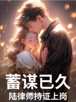 陆炯律师