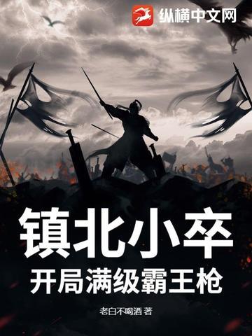 主角是镇北王