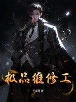 极品维修工王贵陆文婷免费全文阅读价格