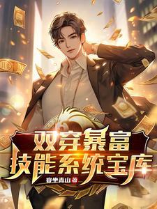 双穿系统