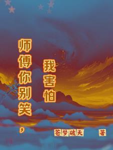 师傅你别这样